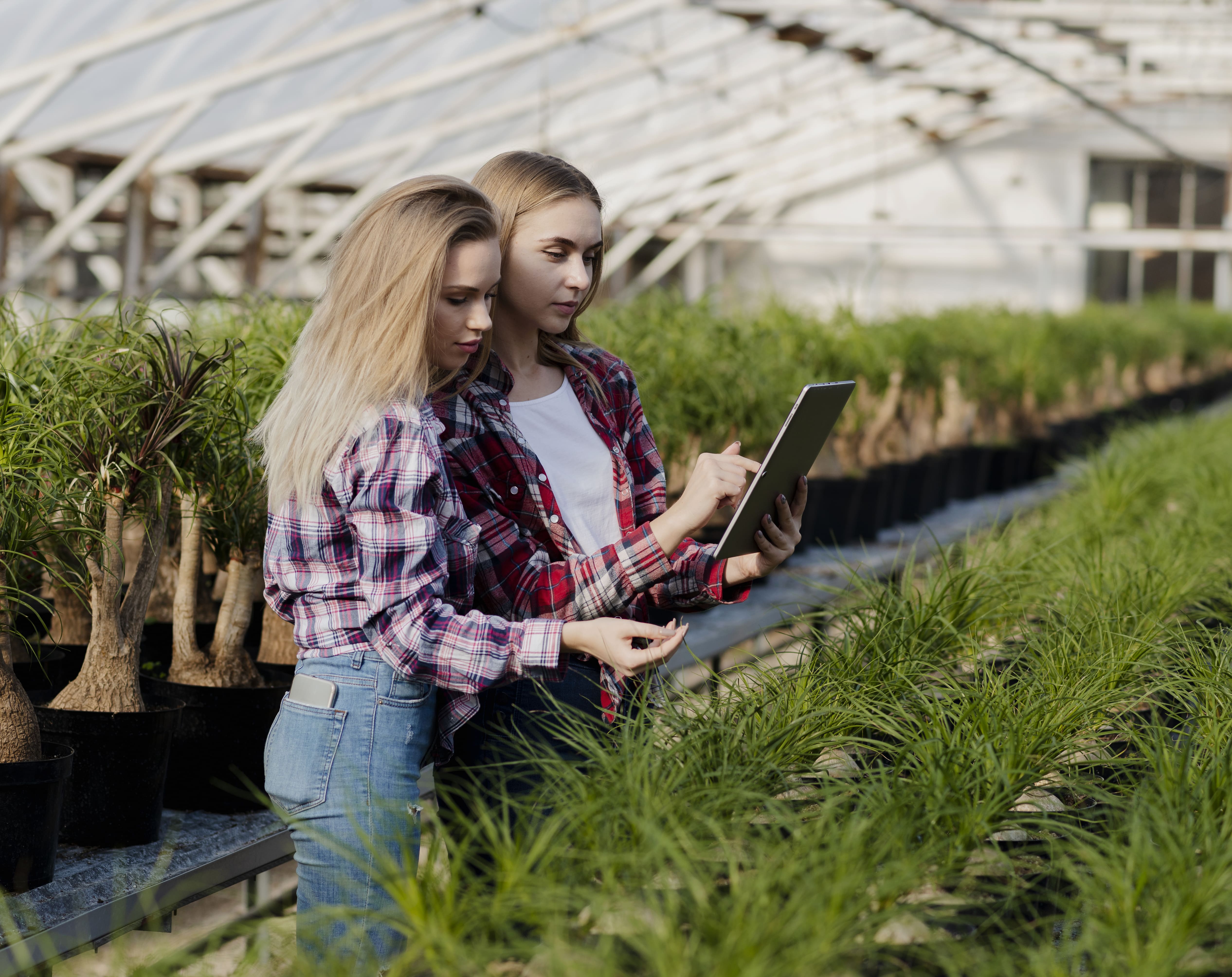 Immagine articolo BioSapori