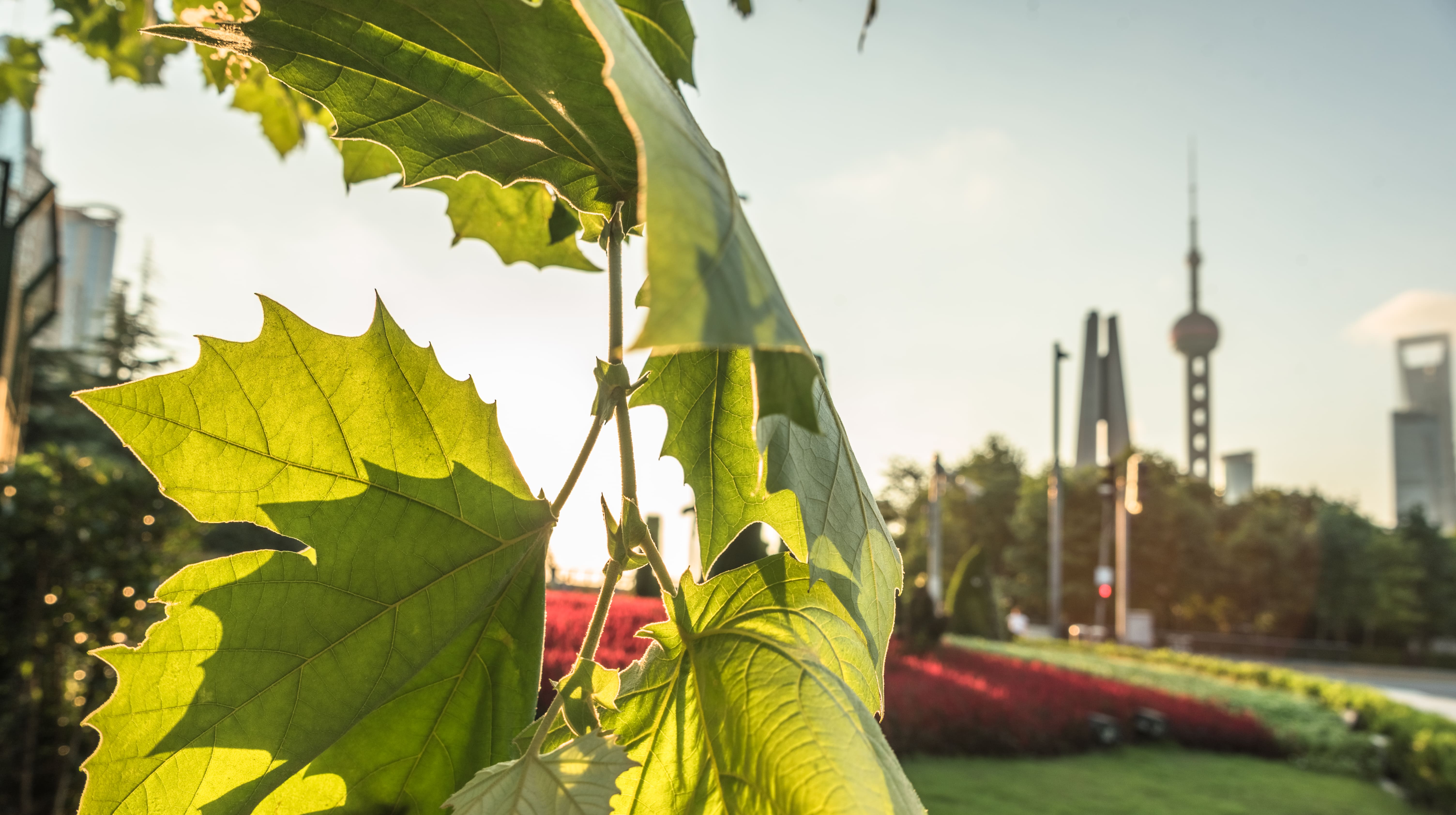 Immagine articolo Economia Verde